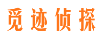 新平市私家侦探